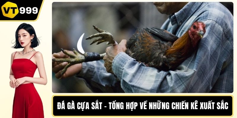 Đá gà cựa sắt