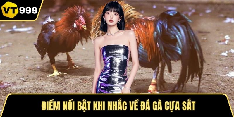 Điểm nổi bật khi nhắc về đá gà cựa sắt