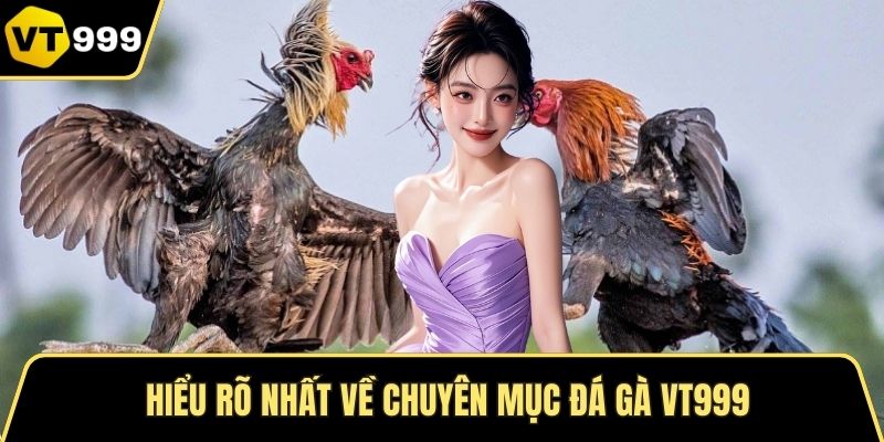 Hiểu rõ nhất về chuyên mục đá gà VT999