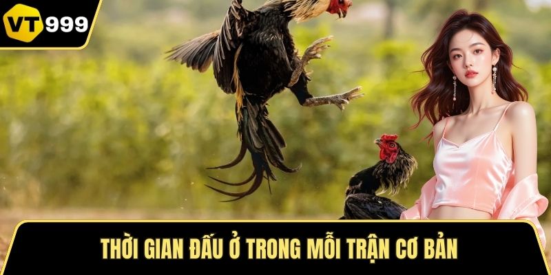 Thời gian đấu ở trong mỗi trận cơ bản